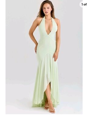 chinese dress ladies Garden Rose Dress | Occasion Dress in Sizes XXS6X